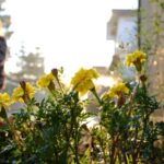 바쁜 일상 속 스트레스, 관리하는 현명한 습관이 필요하다 a woman walking down a street past a bunch of flowers