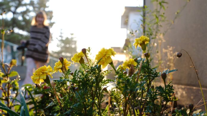Photo by Seiya Maeda a woman walking down a street past a bunch of flowers