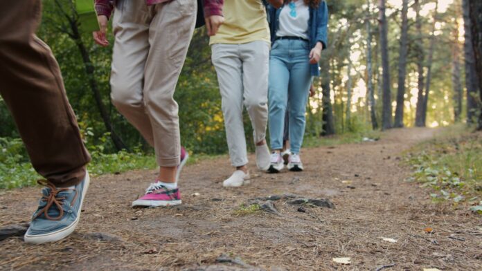 Group of people walking on a forest path