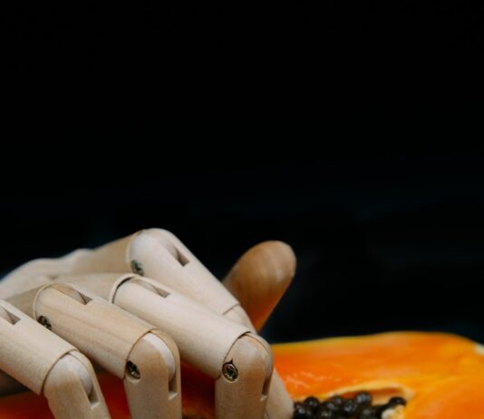 “AI와 함께하는 똑똑한 건강 관리, 우리 집에서도 손쉽게!” sliced fruit on orange plate